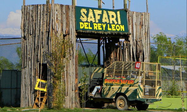 Tour privado al Parque Safari de Chile: ¡Diversión Familiar en la Naturaleza!
