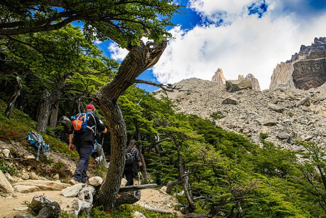 Trekking Torres del Paine desde Puerto Nadales